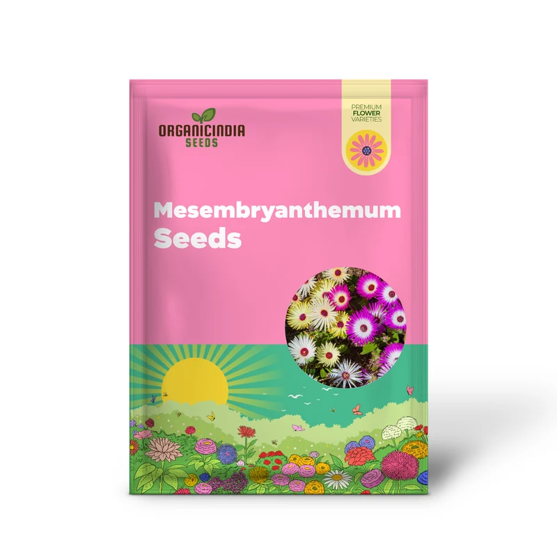 Mesembryanthemum Sunshine Mix Seeds – Livingstone Daisy