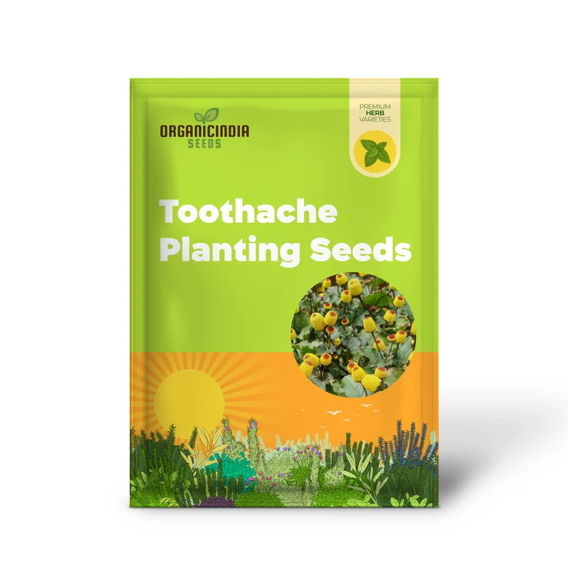 Toothache Plant Seeds – Premium Quality Medicinal Herb for Home & Organic Gardens