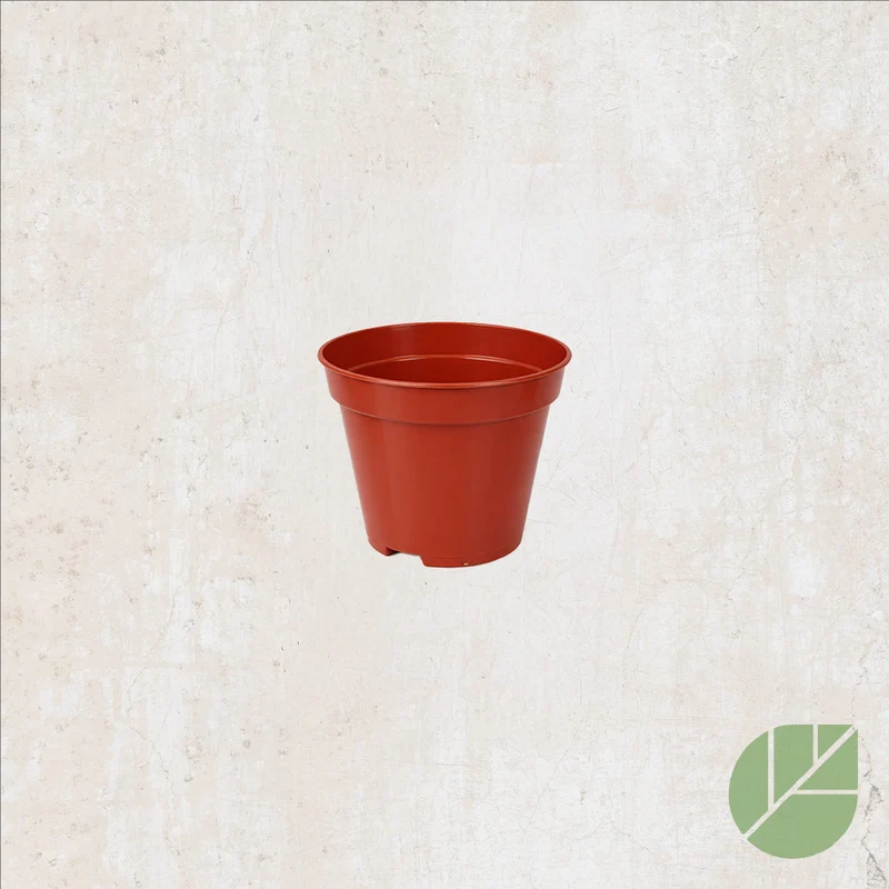Pot de culture en plastique avec drainage