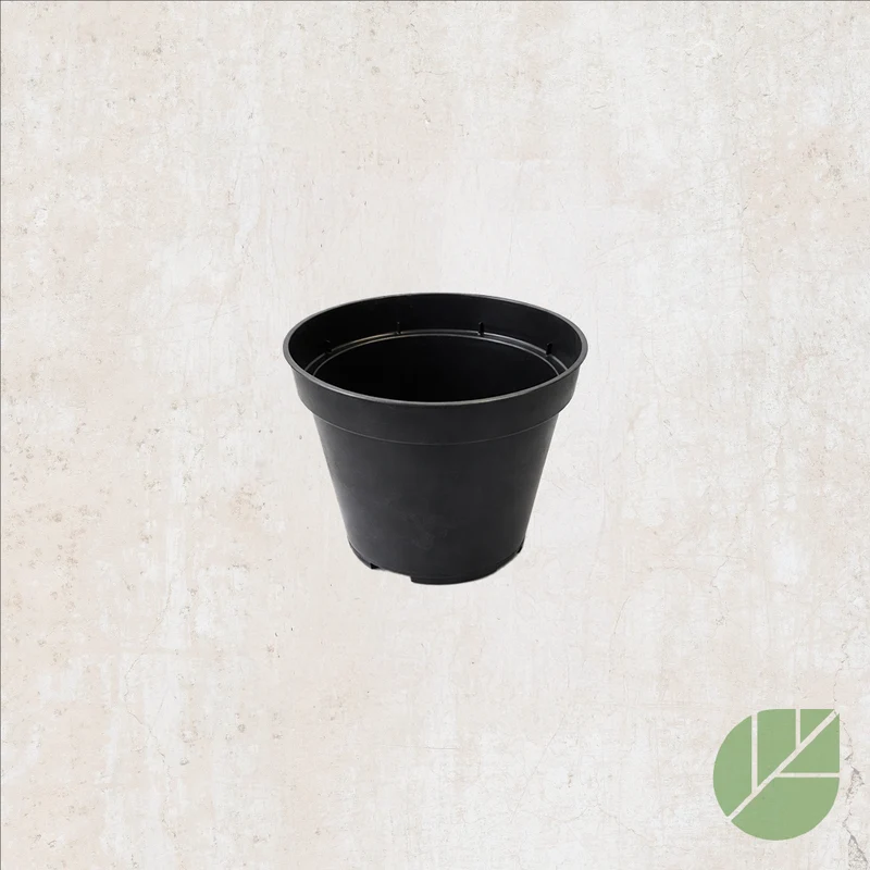 Pot de culture en plastique avec drainage