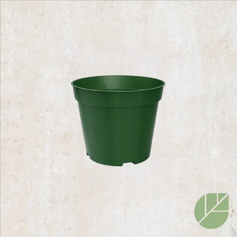 Pot de culture en plastique avec drainage