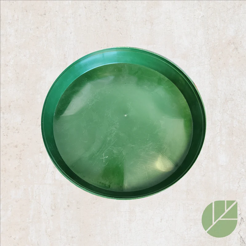 Soucoupe verte en plastique pour pot de culture