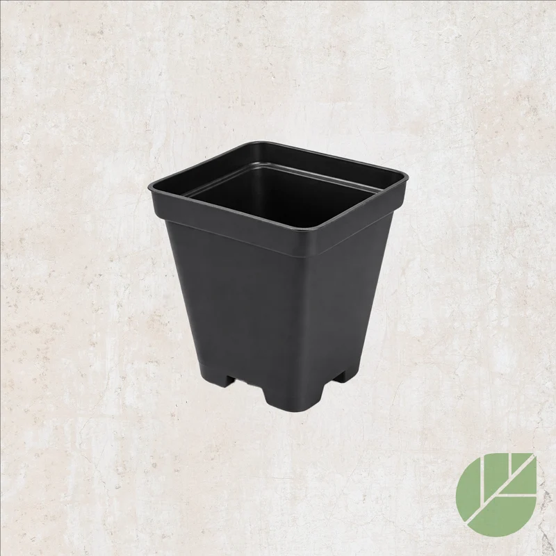 Pot de culture en plastique carré noir avec drainage