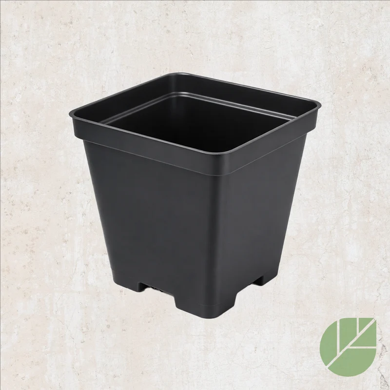 Pot de culture en plastique carré noir avec drainage