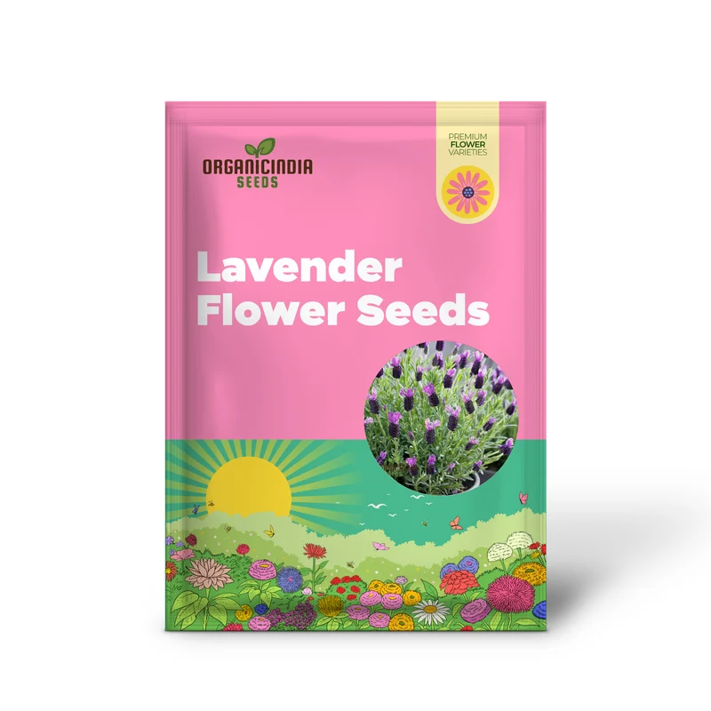French Lavender (Lavandula Stoechas) Flower Seeds for Planting,Cultivating Fragrance and Beauty in Your Garden