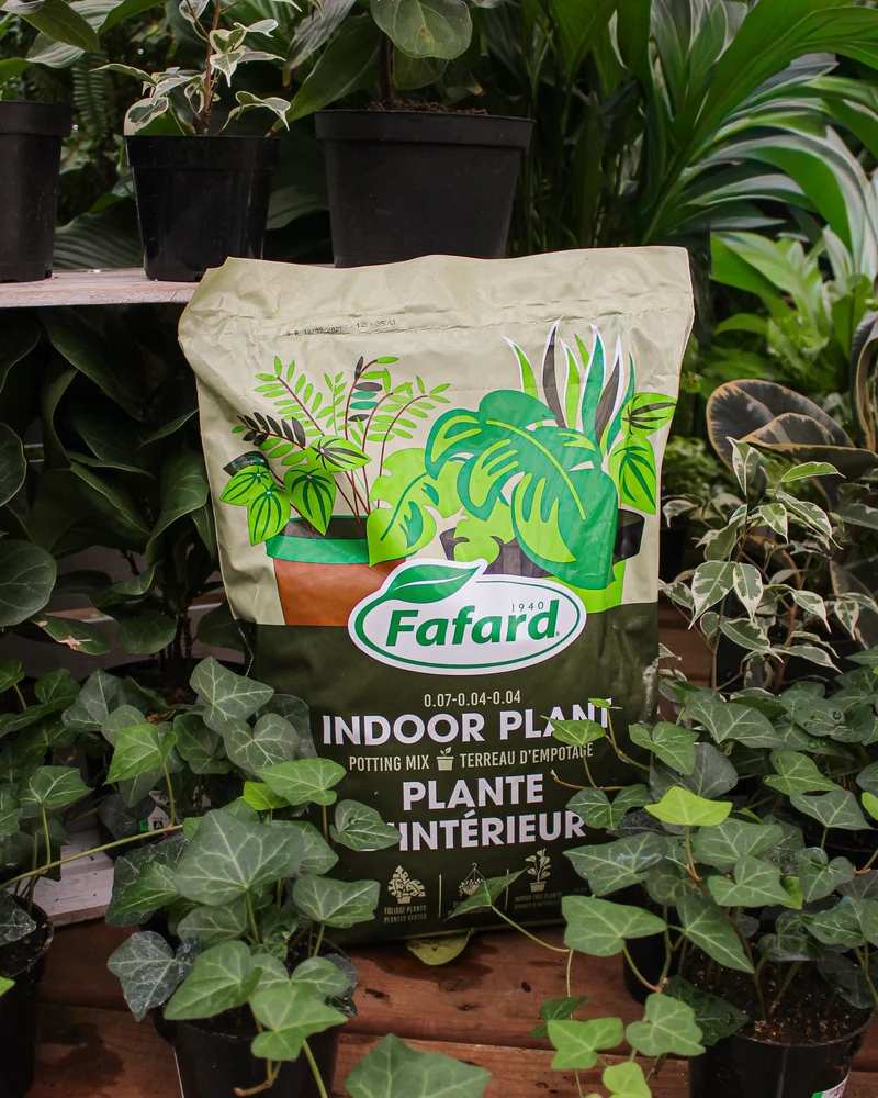 Terreau pour plantes d'intérieur Fafard