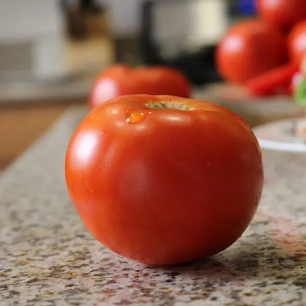 Tomate Célébrité Plus F1 ( Solanum lycopersicum )