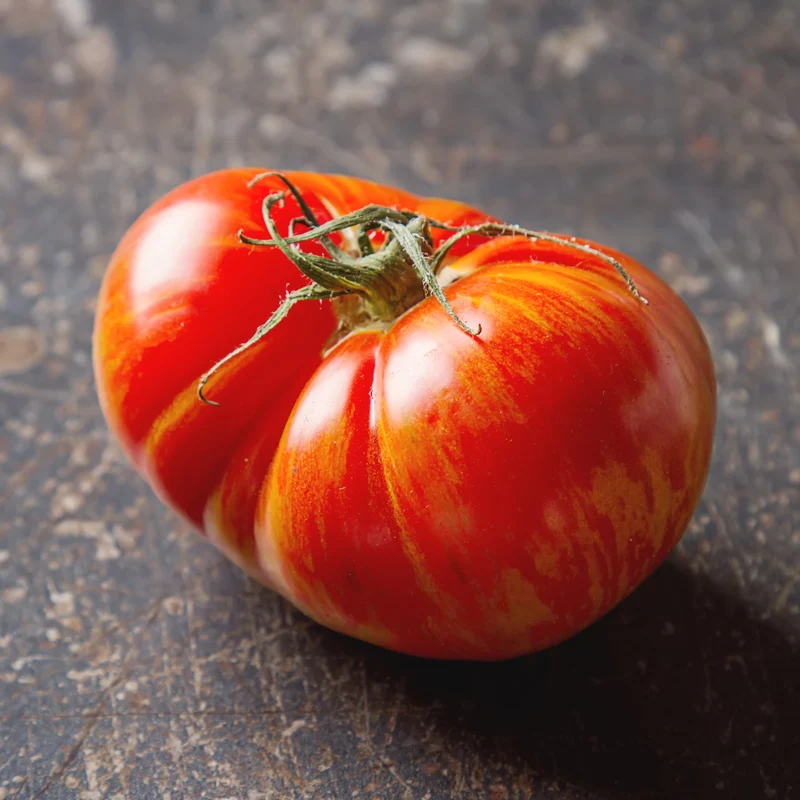 Tomate ‘Striped German’ ( Solanum lycopersicum )
