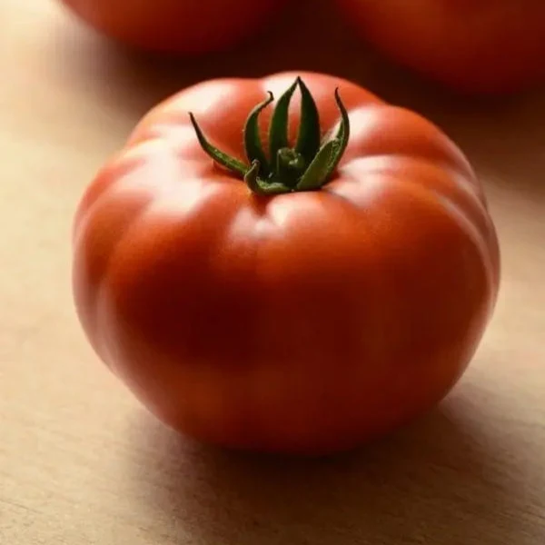 Tomate Marriage Genuwine F1 ( Solanum lycopersicum )