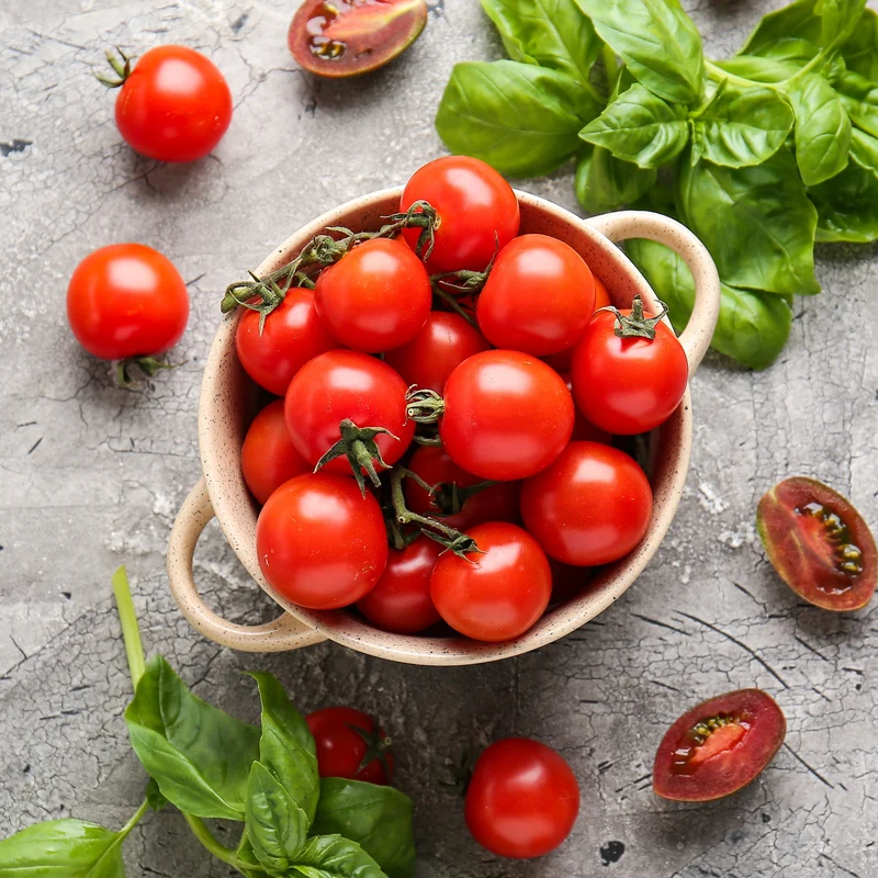 Tomate cocktail Mountain Magic F1 ( Solanum lycopersicum )