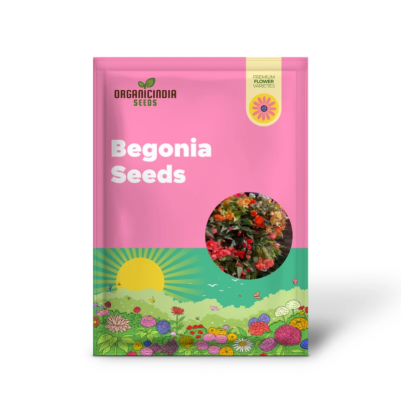 Begonia Illumination Mixed Seeds – Premium Trailing Variety for Radiant Garden Blooms