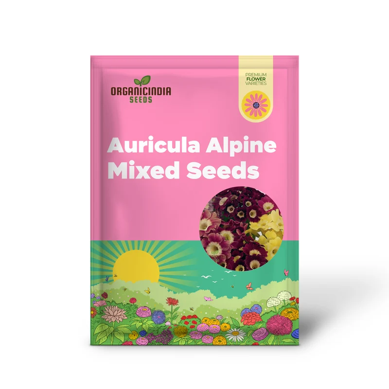 Auricula Seeds (Auricula Alpine Mixed Seeds) - Beautiful Alpine Mix for Gardens