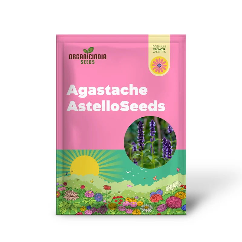 Agastache Hybrida Astello Indigo Seeds - Grow Exquisite Indigo-Colored Agastache Flowers in Your Garden