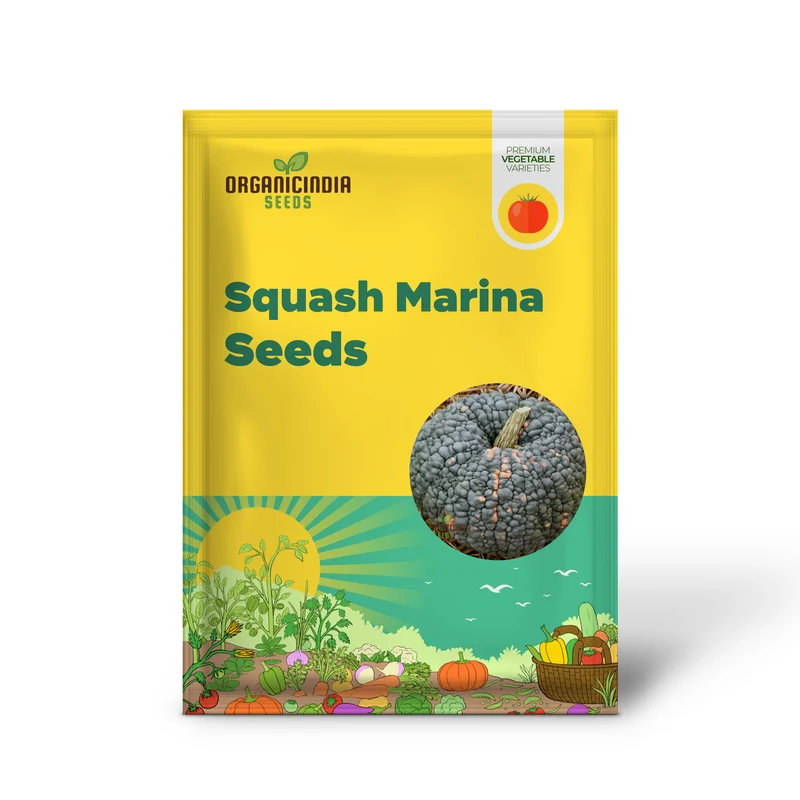 Winter Squash Marina di Chioggia Seeds For Planting - Heirloom Variety for Gardening Enthusiasts and Winter Harvests