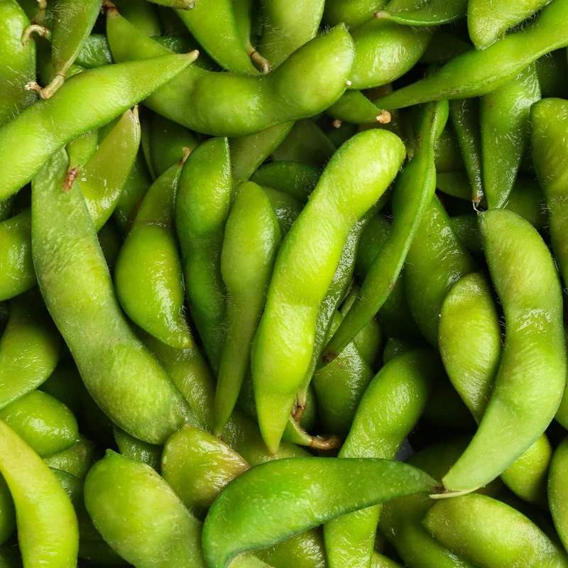 Soya Edamame Karikachi No.3 F1 ( Glycine max )