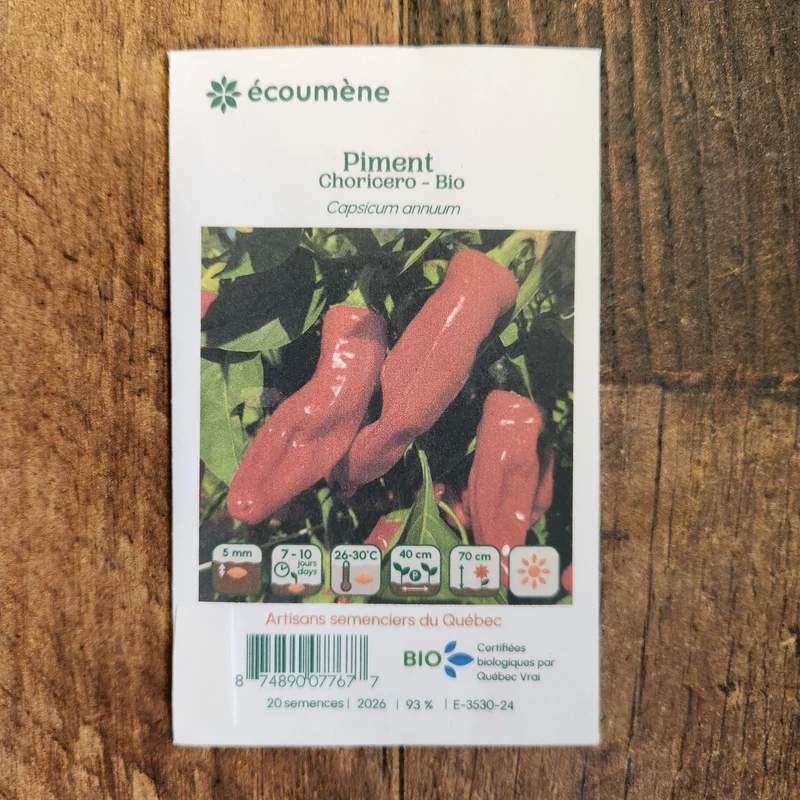 Piment fort ‘Choricero’ ( Capsicum annuum )