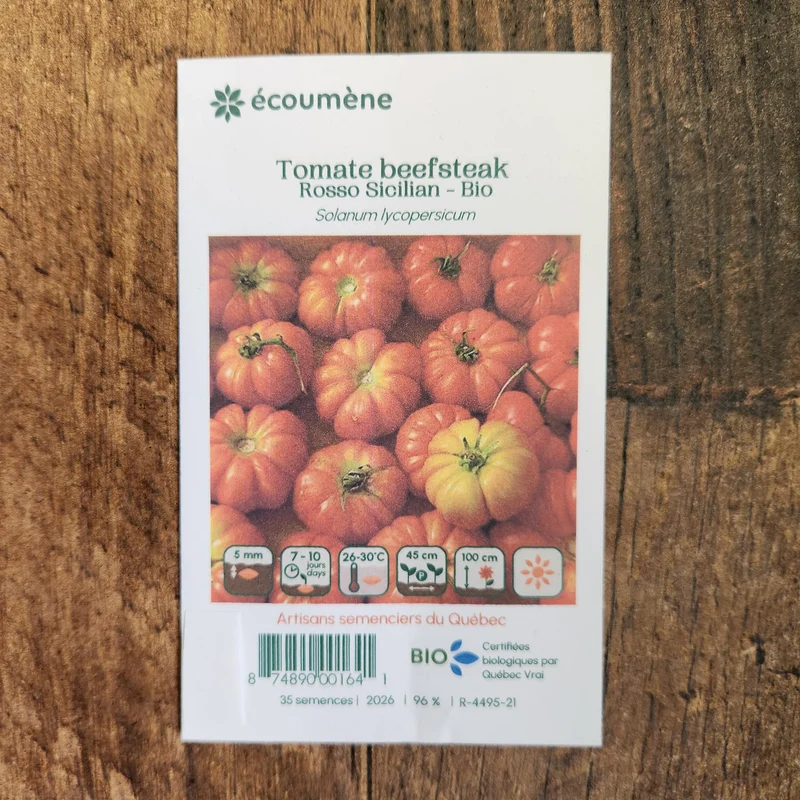 Tomate beefsteak ‘Rosso Sicilian’ ( Solanum lycopersicum )
