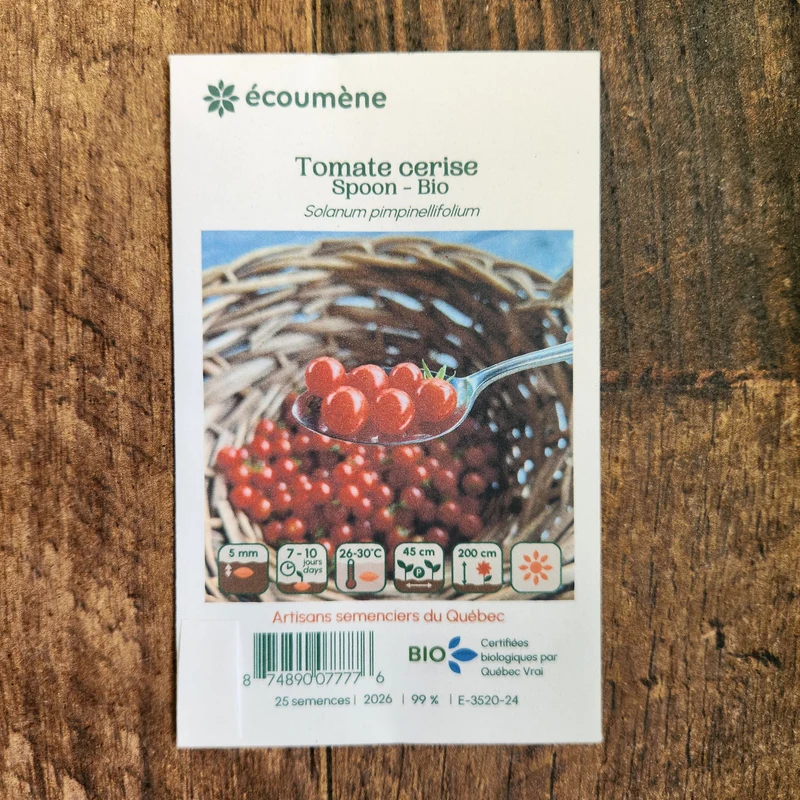 Tomate cerise ‘Spoon’ ( Solanum pimpinellifolium )