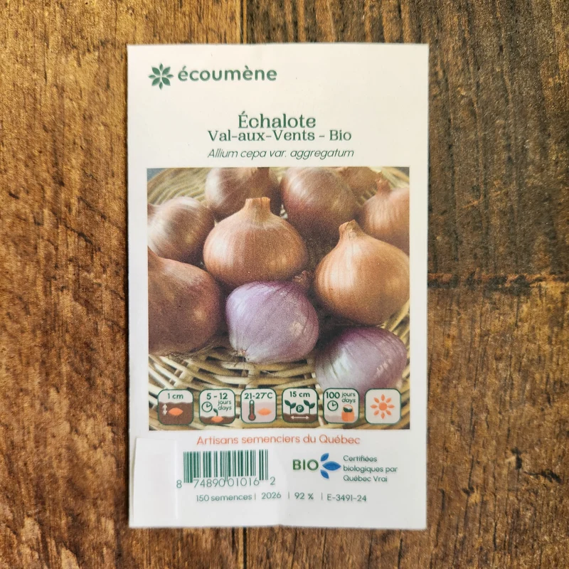 Échalote ‘Val-aux-Vents’ ( Allium cepa var. aggregatum )