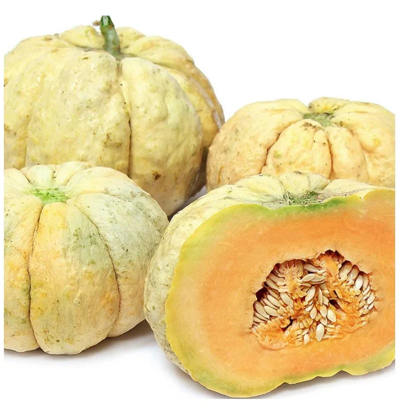 Melon Prescott Fond Blanc For Planting: Exquisite Gardening Delight for Your Green Oasis.