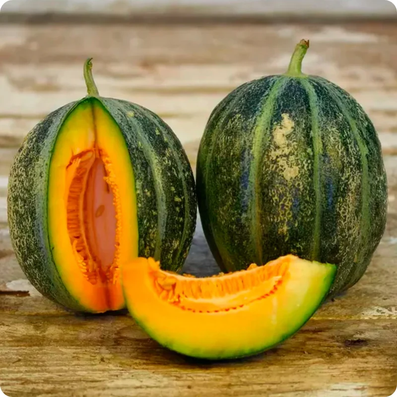 Emerald Gem Melon Seeds For Planting: Exquisite Heirloom Gardening Delight for Your Lush Green Oasis