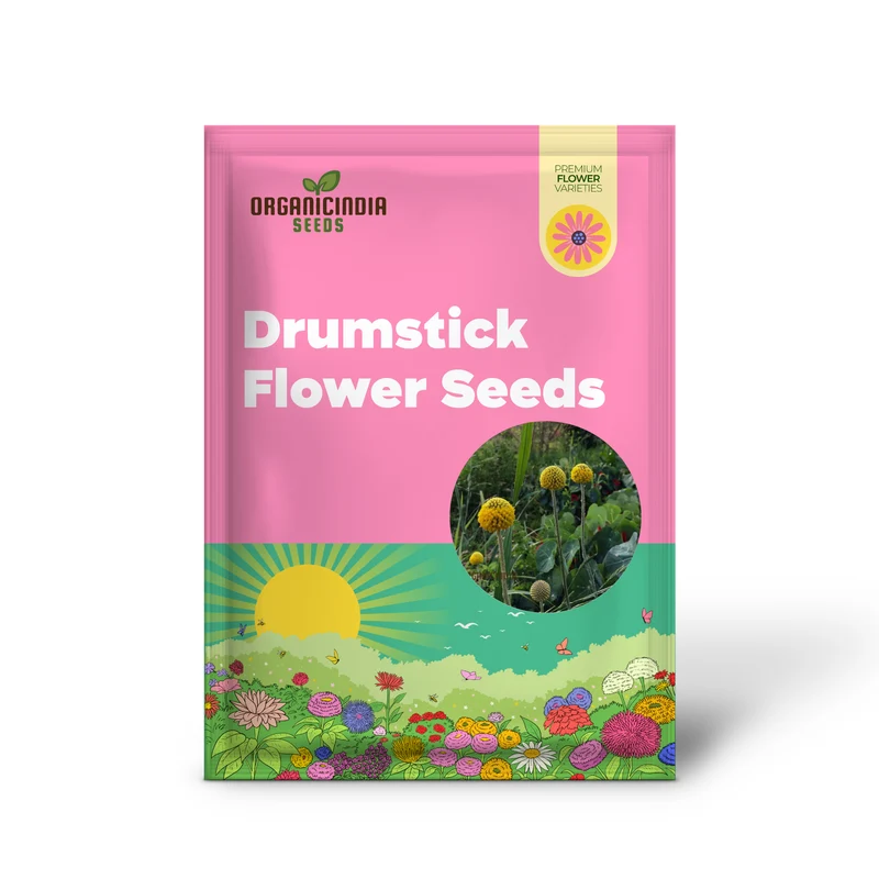 Drumstick Flower Seeds, Cultivating Unique Beauty in Your Garden with Expert Planting and Gardening