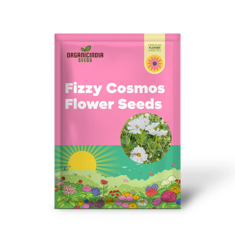 Fizzy White Cosmos Seeds – Premium Garden Bloom Variety
