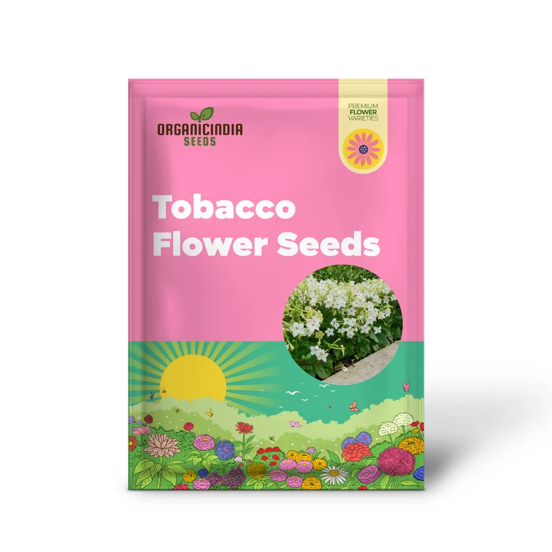 Night-Scented Tobacco Flower Seeds, Enhance Your Garden with Fragrant Beauty Using Expert Planting and Gardening