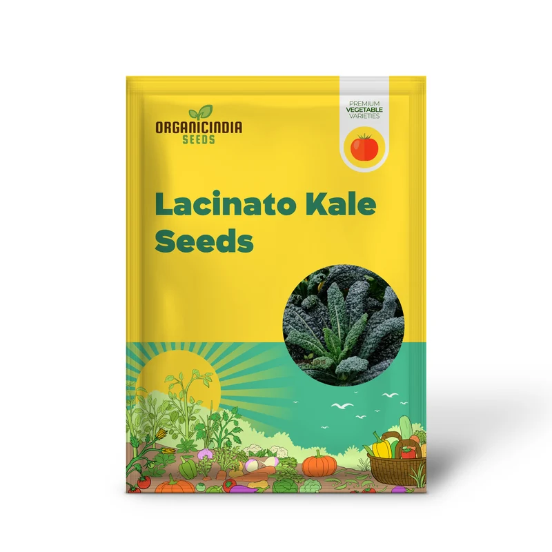 Lacinato Kale Seeds For Planting: Comprehensive Gardening Guide for Thriving, Nutritious Harvests"