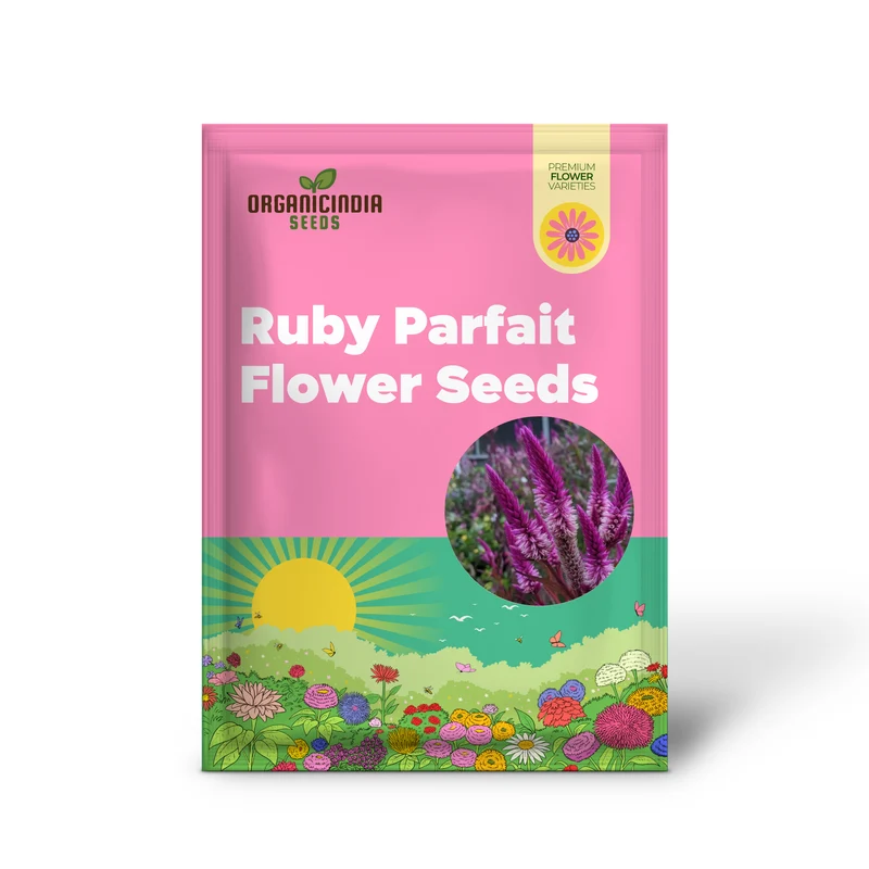 Ruby Parfait Flower Seeds, Enhance Your Garden with Radiant Beauty Using Expert Planting and Gardening Techniques