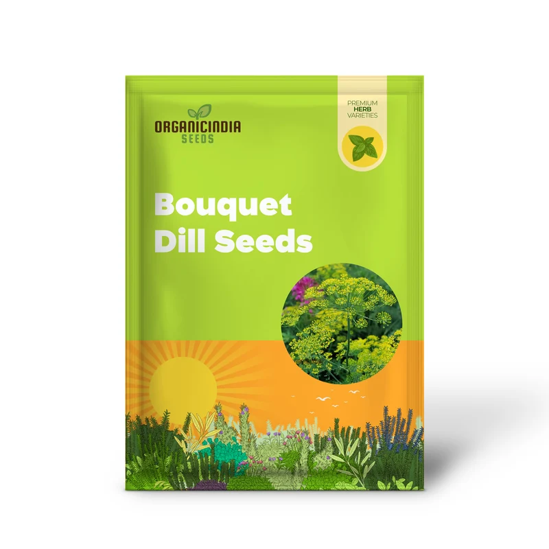 Bouquet Dill Seeds – Aromatic, Fast-Growing Herb for Home Gardening & Containers