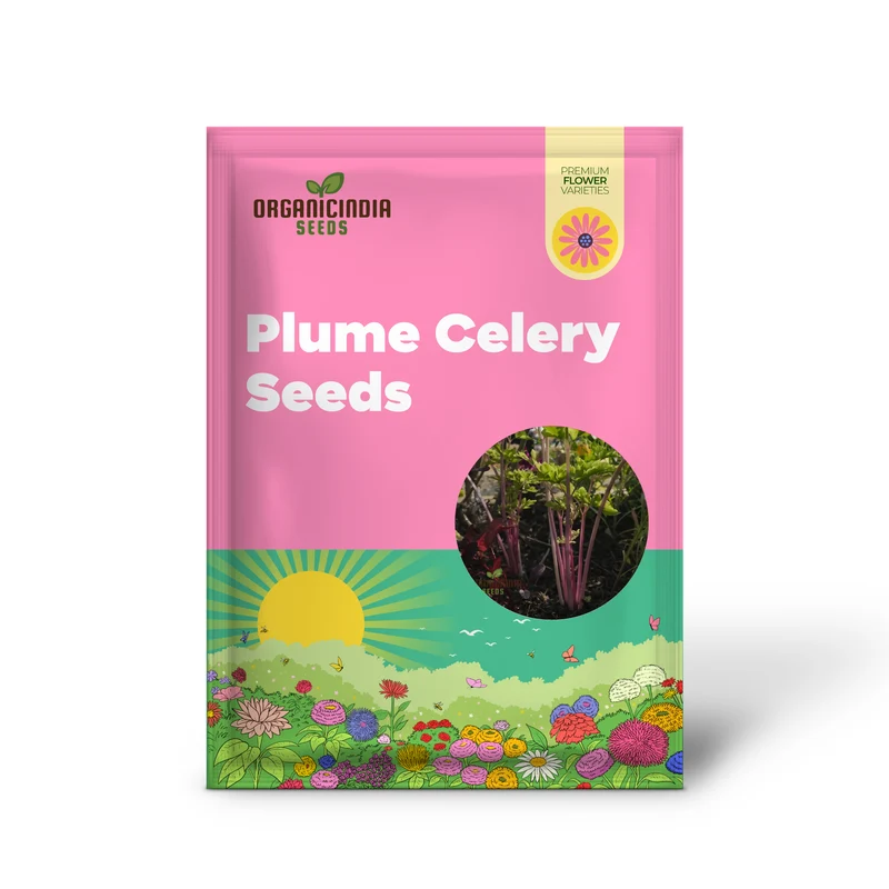 Pretty in Pink Seeds: Plume Celery - Gardening Enthusiast's Delight with Long Feathery Stalks