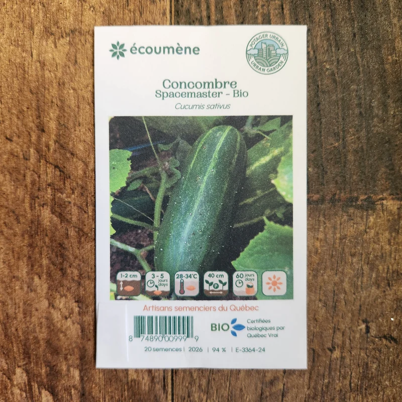 Concombre ‘Spacemaster’ ( Cucumis sativus )