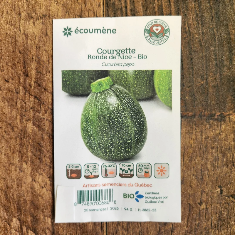 Courgette ‘Ronde de Nice’ ( Cucurbita pepo )