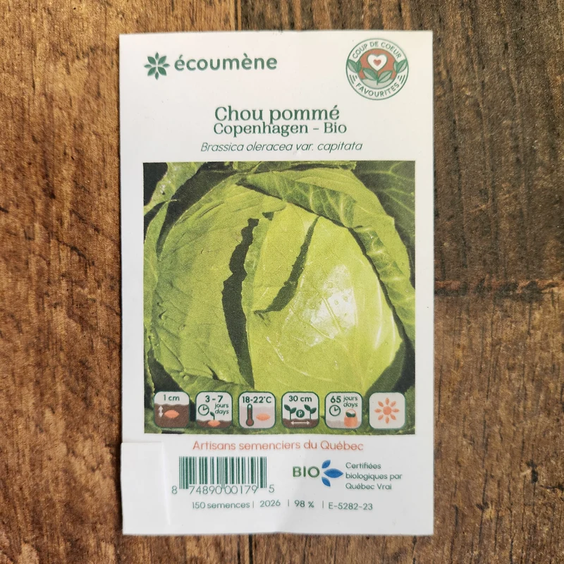 Chou pommé ‘Copenhagen’ ( Brassica oleracea var. capitata )