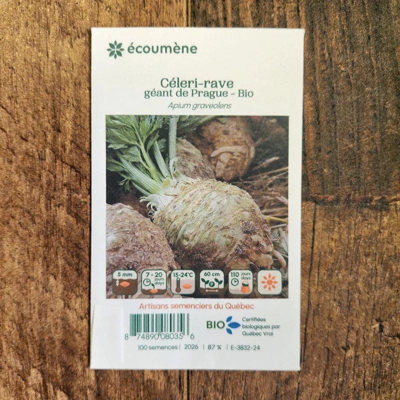 Céleri-rave ‘Géant de Prague’ ( Apium graveolens var. rapaceum )