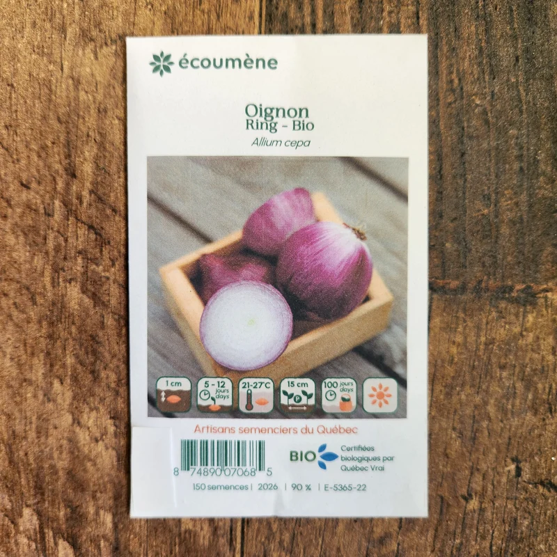 Oignon ‘Ring’ ( Allium cepa )