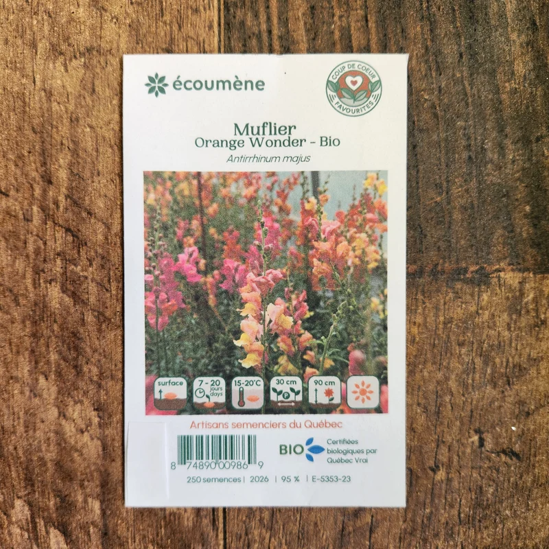 Muflier ‘Orange Wonder’ ( Antirrhinum majus )