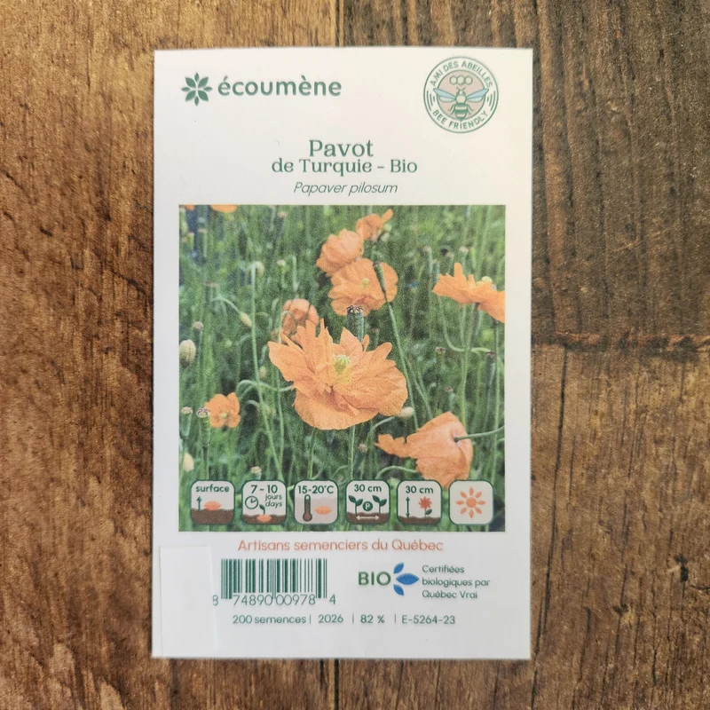Pavot de Turquie ( Papaver pilosum )