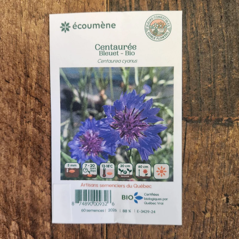 Centaurée bleuet ( Centaurea cyanus )