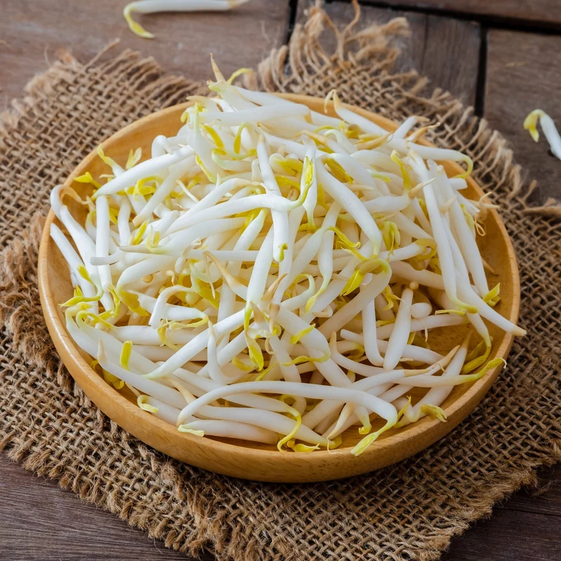 Micropousses de haricot ‘Mung’ bio ( Vigna radiata )