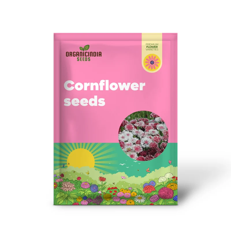 Cornflower Classic Romantic Seeds ,Elevate Your Gardening Experience with Timeless Beauty and Endless Elegance!