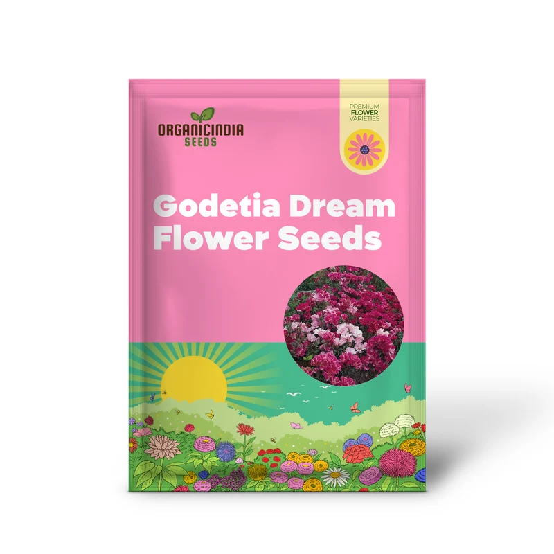 Godetia Dream Double Flower Seeds For Planting: Exquisite Gardening Splendor for Your Blossoming Oasis