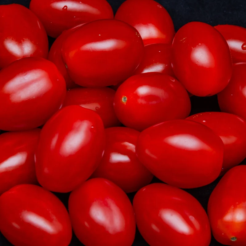 Tomate cerise ‘Sweet Heart’ F1 ( Solanum lycopersicum )