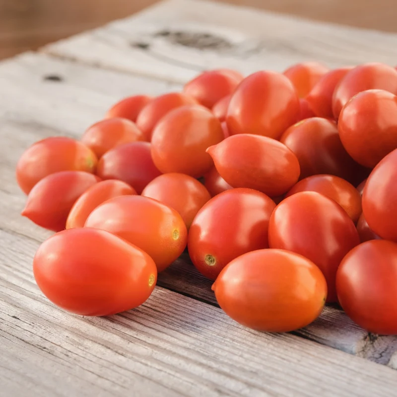 Tomate ‘Sugary’ F1 ( Solanum lycopersicum )