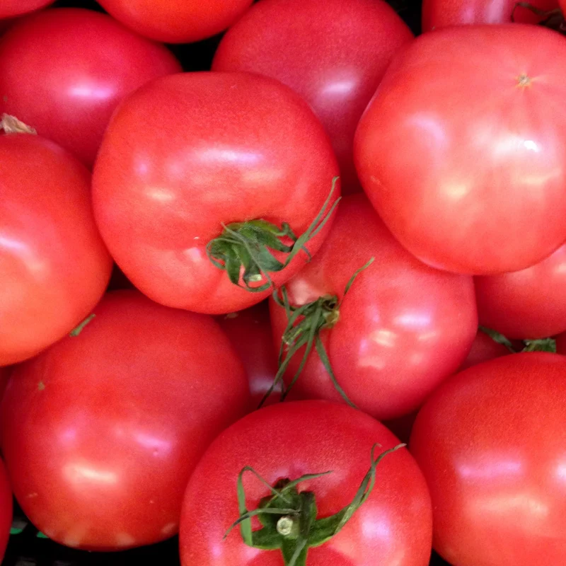Tomate Pink Cupcake F1 ( Solanum lycopersicum )