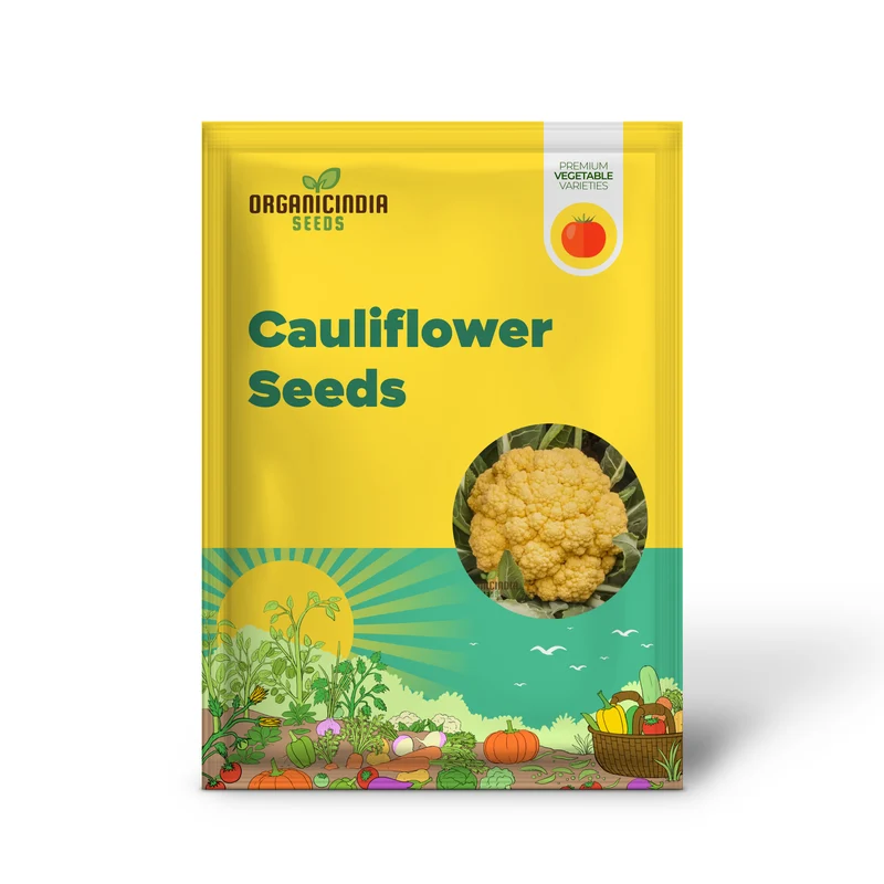 Cauliflower Sunset Seeds - Grow Vibrant and Nutritious Orange Cauliflower
