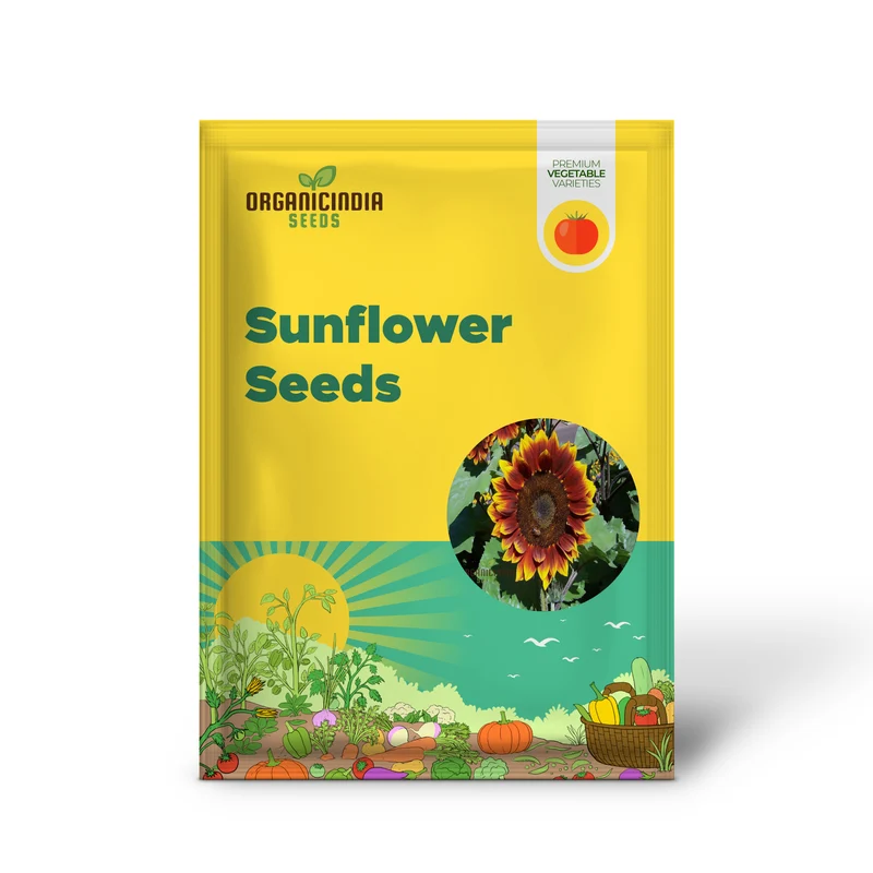 Ruby Passion Sunflower Seeds – Vibrant Red Blooms for Garden Planting
