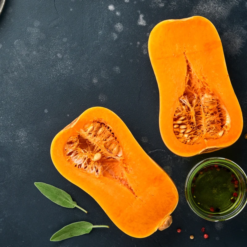 Courge ‘Butternut Quantum’ ( Cucurbita moschata )