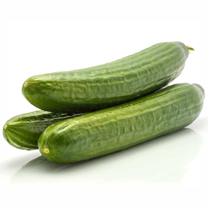 Concombre ‘Télégraphe Anglais’ ( Cucumis sativus )